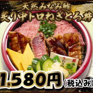 期間限定丼　炙り中トロねぎとろ丼